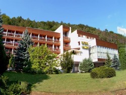 Hotel FLORA - Spa & Wellness hotel Trenčianske Teplice