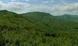 Slanske Hills