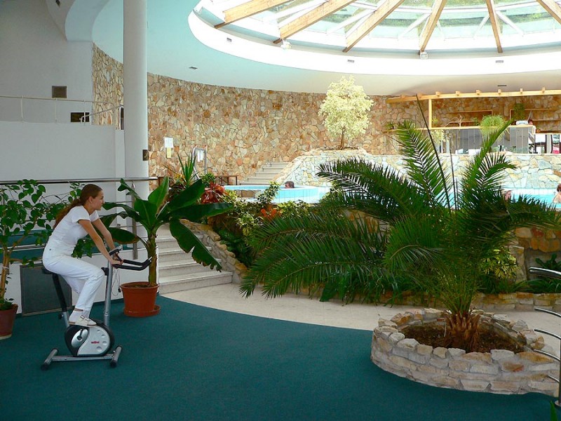 Wellness pobyt pre dvoch s masážou, Hotel Flóra Dudince - Travelguide.sk
